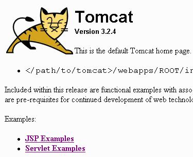 tomcat RlN^[ servret